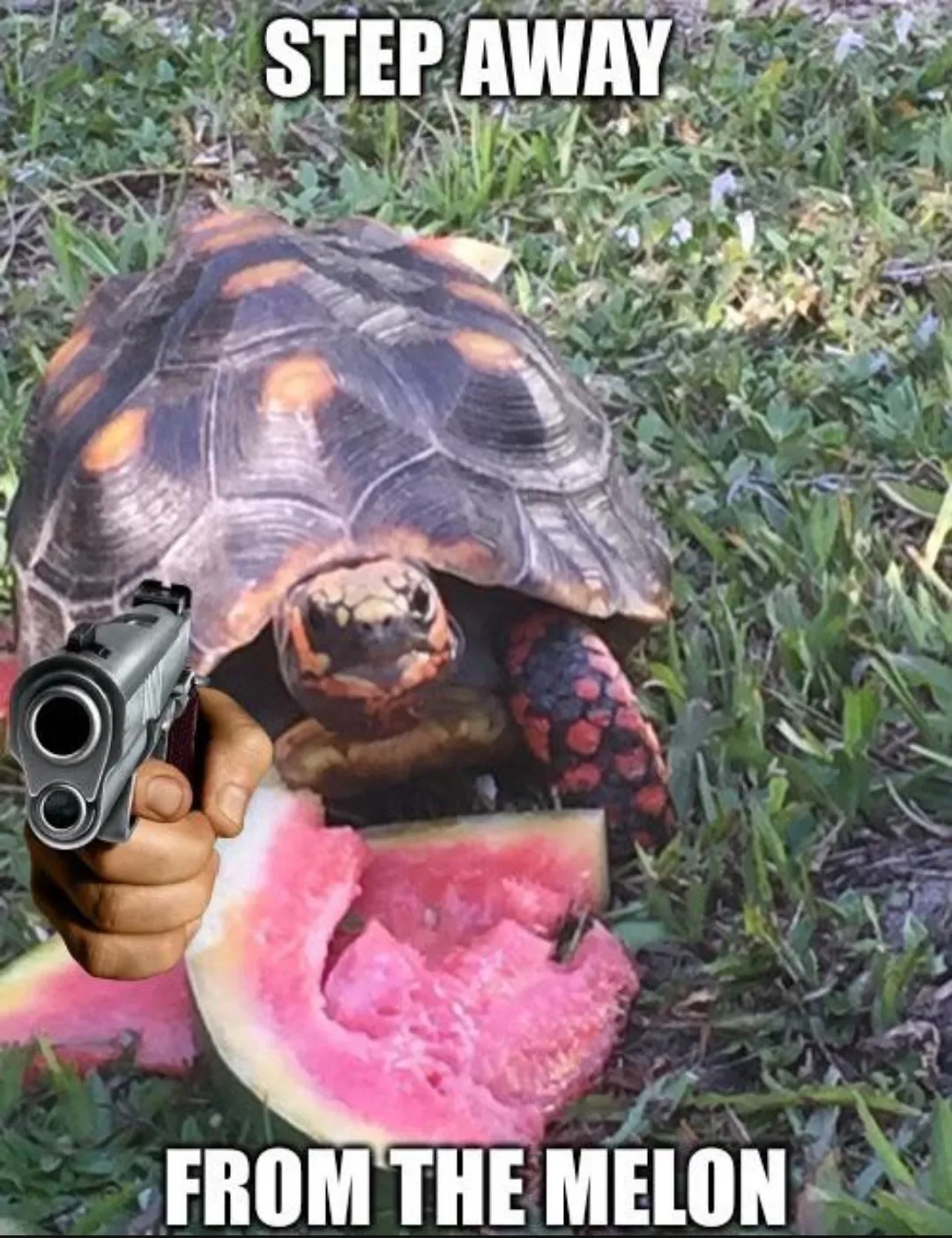 What Are You Doing Step Bro Memes What Are You Doing Step Bro Meme Templates What Are You Doing Step Bro Reaction Memes Memeadda